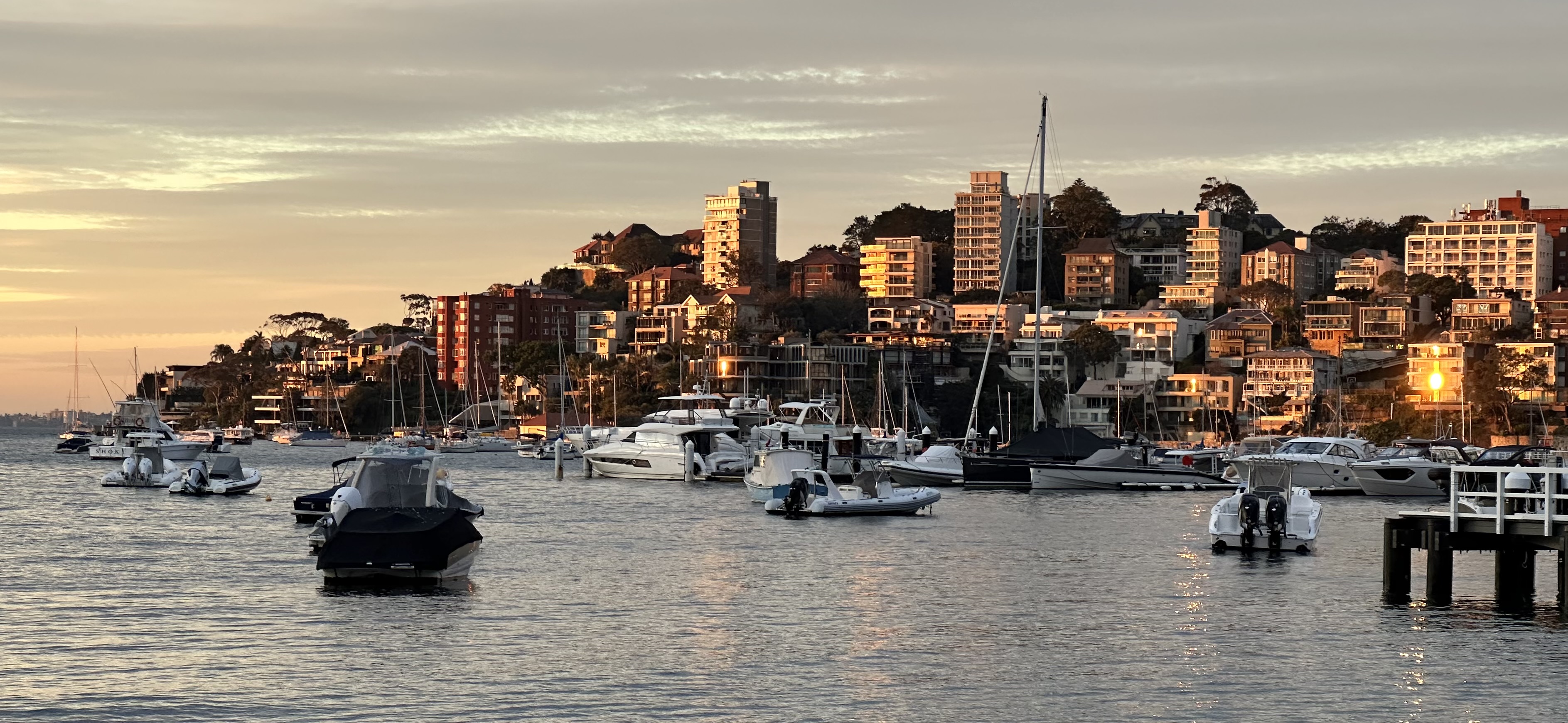Harbour boats and waterfront homes in Double Bay at sunset